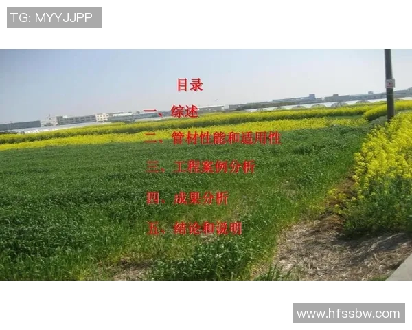 重庆飞盘队的战术意识与团队协作探讨及其对比赛表现的影响分析